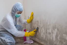 Trusted Loganville, PA Mold Prevention & Removal  Experts